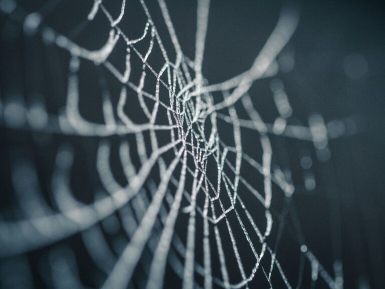 AI regulations in telecoms: Navigating the complex web