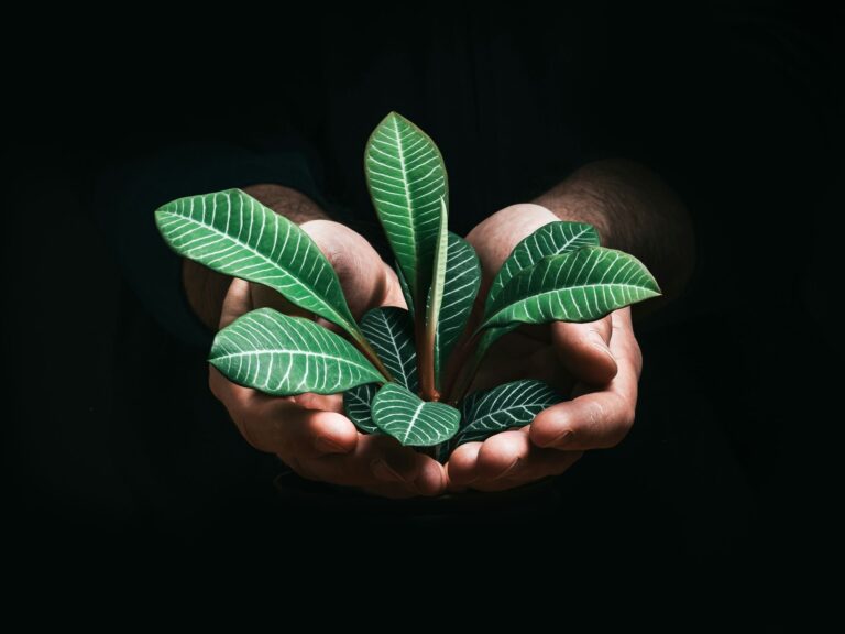 Using AI to slash 5G emissions and hit enterprise ESG goals