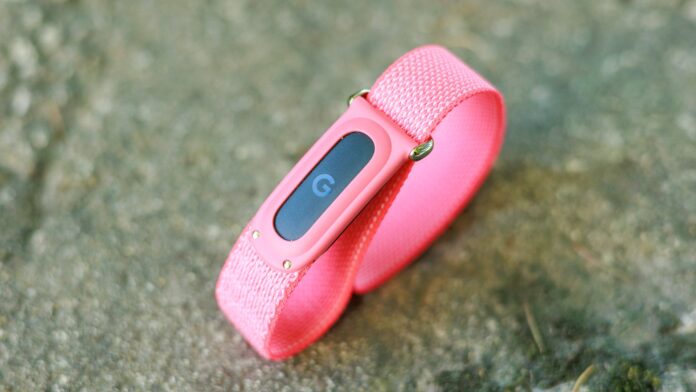 Fitbit-Air-Review.jpg